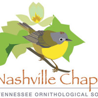 NTOS Logo