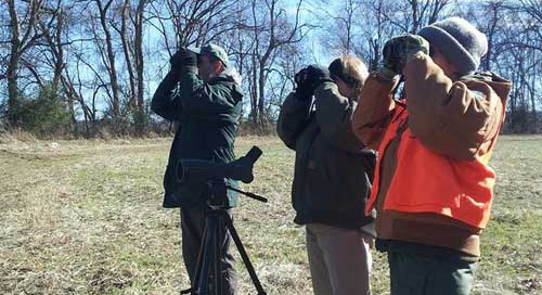 Birders