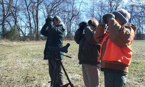 Birders